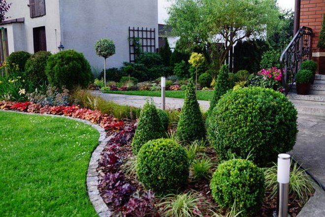 Используем гейхеры в ландшафтном дизайне сада